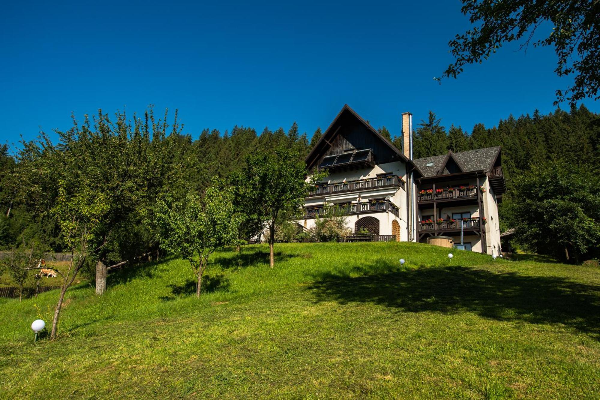 Bucovina Lodge Pension Vama  Exteriér fotografie